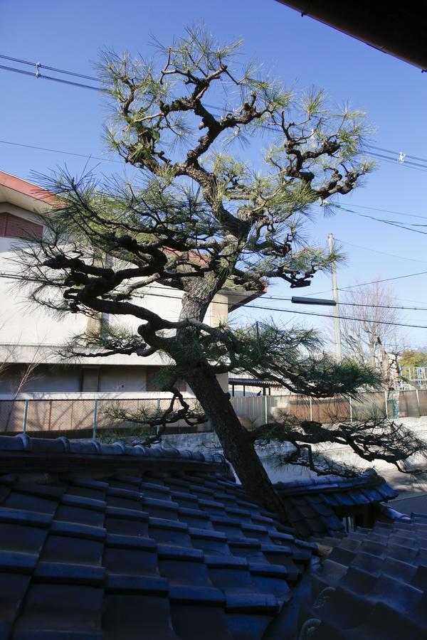 Matsuharu Ann Villa Kyoto Exteriör bild